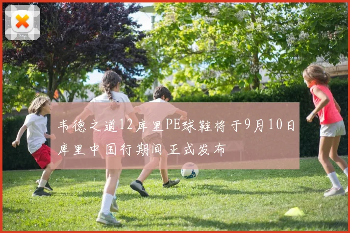 韦德之道12库里PE球鞋将于9月10日库里中国行期间正式发布